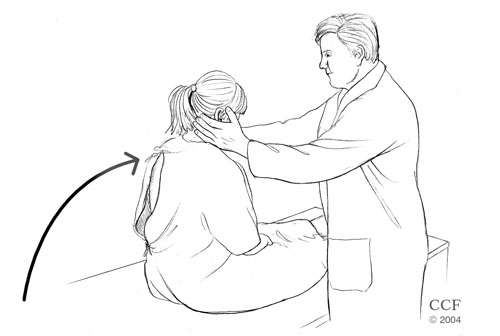 step 5