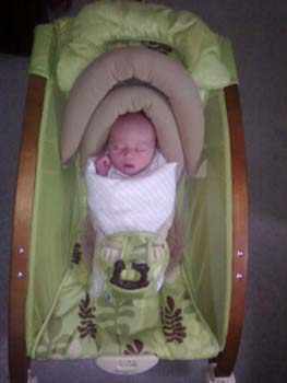 Burrito-Rocker