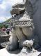 Thumbnail version of lion.jpg, image 12 of 25