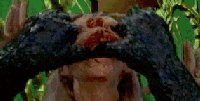 [Ripped open head]