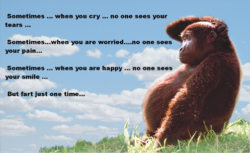 Sometimes... when you cry... No one sees you tears... Sometimes...When you are worried...no one sees your pain Sometimes... when you are happy...no one sees your smile... But fart just one time...
