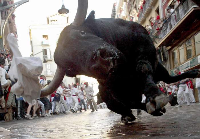 Photo of a bull run with a close up of a bull right in front of the camera
