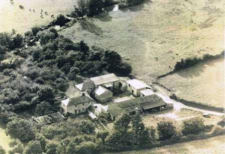 Twinyeo Farm