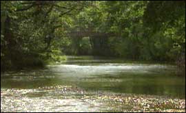 RIVER