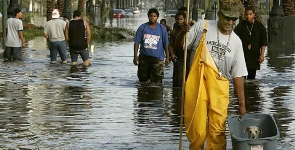 Huracanes tornados destrozos fotos imagenes fenomenos climaticos rayos truenos tormentas ojos investigaciones destrucciones argentina estados unidos mexico temporales www.wetherchannel.com pronosticos John Travolta,Nicholas Cage,Contracara,cirugias esteticas,rostro,lipoaspiraciones,medicina,cirujanos,operaciones,Maria Reich,Nazca,lineas,calendario astronomico,Peru,dibujos,astronomia,geometria,Bernd Teichert,mapas,Ana Mar&iacute;a Cogorno,ovnis,misterios,Cristobal Colon,Hernando,Diego,catedral Sevillana,Cartuja Pickman,Jos&eacute; Antonio Lorente,Granada,ADN;restos,Marcial Castro,antropologia,Republica Dominicana,www.egipto.com,Egipto,Keops,piramides,descubrimientos,Aton,Ankh,tumbas,sarcofacos,momias,embalsamamientos,Kefren,camaras secretas,Nefertiti,Amenofis,Nilo,inundaciones,Blade Runner,Ridley Scott, Richard Dawkins,Steven Pinker,Harrison Ford,Stephen Minger,Stanley Kubrick,Daryl Hanna,replicantes,androides,ciencia ficcion,Contactos,SHGb02+14a,proyecto SETI,Search for Extra Terrestial Intelligence,SETI@home,Robert Zemeckis,Jodie Foster,Dan Wertheimer,New Scientist,Arecibo,Puerto Rico,civilizaciones extraterrestres,Ma libert&eacute; de penser,Florent Pagny,Argentina,France,Patagonia,Argentine,Azucena Caama&ntilde;o,Savoir aimer,artistes,musique,musica,CD,cantores,ventas,compras,ranking,Paparazzi,Isabel Sartorius,Borbon,Ortiz Pati&ntilde;o,Vallejo Najera,Entrecanales,Mora Figueroa,Antonio Montero,Sainz Vicu&ntilde;a,Espa&ntilde;a,jet set,Mallorca,Ibiza,John Fitzgerald Kennedy,Lee Harvey Oswald,Vitaliy Fadeyev,Lawrence Berkeley,Carl Haber,Fidel Castro,Lyndon B. Johnson,Jackie,Onassis,Irma Roy,Carolina Papaleo,Osvaldo,diputada nacional,Congreso,Argentina,Raul Granillo Ocampo,politica,justicialismo,peronismo,cine,television,La Horqueta,San Isidro,que se vayan todos,diciembre 2001,2002,2003,2004,maria julia alsogaray,alvaros,,Roberto Mart&iacute;nez Medina,Maria Julia Alsogaray,Ra&uacute;l Granillo Ocampo,Jorge Rodr&iacute;guez,V&iacute;ctor Alderete,Claudia Bello,Angel Massa,Alfredo Yabran,Mario Pontaquarto,Nestor Carlos Kirchner,Cristina Elizabeth Fernandez,corrupcion,senado,general rodriguez,anibal,fernandez,alberto,fernando de la rua,ines pertine,eduardo duhalde,hilda chiche gonzalez,2000,2001,2002,2003,2004,Museos,www.louvre.fr,Leonardo Da Vinci,Gioconda,Mona Lisa,Italia,Francia,France,inventos,Italy,renacimiento,historia,cuadros,links,images,postcards,photos,fotos,imagenes,postales,pictures,historia,arqueologia,descubrimientos,culturales,agenda,infodiario,diario accion,buenos aires,argentina,Diario Accion de General Rodriguez, politica, actualidad, noticias e informacion, personalidades e instituciones, policiales, galerias de fotos; historia de General Rodriguez, sus origenes, edificios, estancias, habitos y costumbres, anecdotas, comercios e industrias, los fundadores, antiguas instituciones, fotos e imagenes; suplementos especiales: la crisis politica, economica y social de la Argentina, los acontecimientos de Diciembre de 2001, articulos y entrevistas; Emigracion: toda la informacion destinada a aquellos que desean emigrar, radicarse o estudiar en el exterior, visas, pasaportes, consejos, guias, informacion util, links; Trueque: novedades e informacion, links, estructura del trueque; el casamiento de Maxima Zorreguieta y el principe Guillermo Alejandro de Holanda; Guerra de Afganistan: galeria de imagenes e informacion sobre la primera guerra del siglo XXI; la guerra de Irak, Bagdad, Georges W. Bush, Saddam Husseim, el atentado a las torres Gemelas de Nueva York, las twin towers, el 11-s, y descripcion del hecho que conmovio al mundo; Empleo: consultoras, clasificados, agencias de empleo, consejos e informacion util, curriculum vitae, como confeccionarlos, noticias de actualidad; 
Los numeros de la crisis: Las consecuencias de la crisis politica, economica y social; estadisticas, pobreza, desnutricion, salud y asistencia; noticias regionales y provinciales, columnas y editoriales; informacion para negocios: pymes, links, empresas y negocios; Agenda Cultural con toda la informacion de cursos, universidades, talleres, escuelas y oportunidades, exposiciones de arte de la region; buscadores en Internet, Enlaces: links a los mejores sitios de educacion, cultura, arte, biografias, politica, interes general, web, Links del Diario Accion: RMS Titanic, su historia, su tragico viaje inaugural; historias, testimonios, documentos y articulos sobre el naufragio; links y sitios sobre el tema; la pelicula de Cameron, fotos e imagenes; suplementos especiales, Historia Argentina y de General Rodriguez, la llegada de la democracia en General Rodriguez, la asuncion de Juan Lumbreras como intendente en 1983, galeria de imagenes, sus palabras y los actos, su gabinete, festejos de la comunidad. Fundacion del pueblo de General Rodriguez, sus instituciones y personalidades relevantes, arquitectura y edificios, comercios e industrias, sus comienzos, estancias, inmigraciones italianas, espa&ntilde;olas, vascas e irlandesas, anecdotas y efemerides, sus hombres ilustres, el Hospital Vicente Lopez y Planes, su fundacion por las Damas de Beneficencia, el hundimiento del crucero General Belgrano, testimonios de ex combatientes y tripulantes, su comandante Hector Elias Bonzo, fotos e imagenes, recuerdos y homenajes, historia de la familia Bonzo de General Rodriguez, entrevistas y articulos periodisticos. La guerra de Malvinas en el Atlantico Sur, el conflicto belico con Gran Breta&ntilde;a de 1982, politicos relevantes, Benjamin Paez y Trueba, fotos antiguas de familias fundadoras, galerias de imagenes de pobladores, recorrida virtual por el antiguo General Rodriguez, el paso de la Infanta en 1910, historia de La Serenisima, la familia Mastellone, La Choza, Bernardo de Irigoyen, peronismo y radicalismo y muchisimo mas