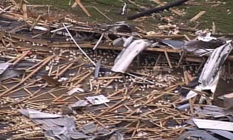 Huracanes tornados destrozos fotos imagenes fenomenos climaticos rayos truenos tormentas ojos investigaciones destrucciones argentina estados unidos mexico temporales www.wetherchannel.com pronosticos John Travolta,Nicholas Cage,Contracara,cirugias esteticas,rostro,lipoaspiraciones,medicina,cirujanos,operaciones,Maria Reich,Nazca,lineas,calendario astronomico,Peru,dibujos,astronomia,geometria,Bernd Teichert,mapas,Ana Mar&iacute;a Cogorno,ovnis,misterios,Cristobal Colon,Hernando,Diego,catedral Sevillana,Cartuja Pickman,Jos&eacute; Antonio Lorente,Granada,ADN;restos,Marcial Castro,antropologia,Republica Dominicana,www.egipto.com,Egipto,Keops,piramides,descubrimientos,Aton,Ankh,tumbas,sarcofacos,momias,embalsamamientos,Kefren,camaras secretas,Nefertiti,Amenofis,Nilo,inundaciones,Blade Runner,Ridley Scott, Richard Dawkins,Steven Pinker,Harrison Ford,Stephen Minger,Stanley Kubrick,Daryl Hanna,replicantes,androides,ciencia ficcion,Contactos,SHGb02+14a,proyecto SETI,Search for Extra Terrestial Intelligence,SETI@home,Robert Zemeckis,Jodie Foster,Dan Wertheimer,New Scientist,Arecibo,Puerto Rico,civilizaciones extraterrestres,Ma libert&eacute; de penser,Florent Pagny,Argentina,France,Patagonia,Argentine,Azucena Caama&ntilde;o,Savoir aimer,artistes,musique,musica,CD,cantores,ventas,compras,ranking,Paparazzi,Isabel Sartorius,Borbon,Ortiz Pati&ntilde;o,Vallejo Najera,Entrecanales,Mora Figueroa,Antonio Montero,Sainz Vicu&ntilde;a,Espa&ntilde;a,jet set,Mallorca,Ibiza,John Fitzgerald Kennedy,Lee Harvey Oswald,Vitaliy Fadeyev,Lawrence Berkeley,Carl Haber,Fidel Castro,Lyndon B. Johnson,Jackie,Onassis,Irma Roy,Carolina Papaleo,Osvaldo,diputada nacional,Congreso,Argentina,Raul Granillo Ocampo,politica,justicialismo,peronismo,cine,television,La Horqueta,San Isidro,que se vayan todos,diciembre 2001,2002,2003,2004,maria julia alsogaray,alvaros,,Roberto Mart&iacute;nez Medina,Maria Julia Alsogaray,Ra&uacute;l Granillo Ocampo,Jorge Rodr&iacute;guez,V&iacute;ctor Alderete,Claudia Bello,Angel Massa,Alfredo Yabran,Mario Pontaquarto,Nestor Carlos Kirchner,Cristina Elizabeth Fernandez,corrupcion,senado,general rodriguez,anibal,fernandez,alberto,fernando de la rua,ines pertine,eduardo duhalde,hilda chiche gonzalez,2000,2001,2002,2003,2004,Museos,www.louvre.fr,Leonardo Da Vinci,Gioconda,Mona Lisa,Italia,Francia,France,inventos,Italy,renacimiento,historia,cuadros,links,images,postcards,photos,fotos,imagenes,postales,pictures,historia,arqueologia,descubrimientos,culturales,agenda,infodiario,diario accion,buenos aires,argentina,Diario Accion de General Rodriguez, politica, actualidad, noticias e informacion, personalidades e instituciones, policiales, galerias de fotos; historia de General Rodriguez, sus origenes, edificios, estancias, habitos y costumbres, anecdotas, comercios e industrias, los fundadores, antiguas instituciones, fotos e imagenes; suplementos especiales: la crisis politica, economica y social de la Argentina, los acontecimientos de Diciembre de 2001, articulos y entrevistas; Emigracion: toda la informacion destinada a aquellos que desean emigrar, radicarse o estudiar en el exterior, visas, pasaportes, consejos, guias, informacion util, links; Trueque: novedades e informacion, links, estructura del trueque; el casamiento de Maxima Zorreguieta y el principe Guillermo Alejandro de Holanda; Guerra de Afganistan: galeria de imagenes e informacion sobre la primera guerra del siglo XXI; la guerra de Irak, Bagdad, Georges W. Bush, Saddam Husseim, el atentado a las torres Gemelas de Nueva York, las twin towers, el 11-s, y descripcion del hecho que conmovio al mundo; Empleo: consultoras, clasificados, agencias de empleo, consejos e informacion util, curriculum vitae, como confeccionarlos, noticias de actualidad; 
Los numeros de la crisis: Las consecuencias de la crisis politica, economica y social; estadisticas, pobreza, desnutricion, salud y asistencia; noticias regionales y provinciales, columnas y editoriales; informacion para negocios: pymes, links, empresas y negocios; Agenda Cultural con toda la informacion de cursos, universidades, talleres, escuelas y oportunidades, exposiciones de arte de la region; buscadores en Internet, Enlaces: links a los mejores sitios de educacion, cultura, arte, biografias, politica, interes general, web, Links del Diario Accion: RMS Titanic, su historia, su tragico viaje inaugural; historias, testimonios, documentos y articulos sobre el naufragio; links y sitios sobre el tema; la pelicula de Cameron, fotos e imagenes; suplementos especiales, Historia Argentina y de General Rodriguez, la llegada de la democracia en General Rodriguez, la asuncion de Juan Lumbreras como intendente en 1983, galeria de imagenes, sus palabras y los actos, su gabinete, festejos de la comunidad. Fundacion del pueblo de General Rodriguez, sus instituciones y personalidades relevantes, arquitectura y edificios, comercios e industrias, sus comienzos, estancias, inmigraciones italianas, espa&ntilde;olas, vascas e irlandesas, anecdotas y efemerides, sus hombres ilustres, el Hospital Vicente Lopez y Planes, su fundacion por las Damas de Beneficencia, el hundimiento del crucero General Belgrano, testimonios de ex combatientes y tripulantes, su comandante Hector Elias Bonzo, fotos e imagenes, recuerdos y homenajes, historia de la familia Bonzo de General Rodriguez, entrevistas y articulos periodisticos. La guerra de Malvinas en el Atlantico Sur, el conflicto belico con Gran Breta&ntilde;a de 1982, politicos relevantes, Benjamin Paez y Trueba, fotos antiguas de familias fundadoras, galerias de imagenes de pobladores, recorrida virtual por el antiguo General Rodriguez, el paso de la Infanta en 1910, historia de La Serenisima, la familia Mastellone, La Choza, Bernardo de Irigoyen, peronismo y radicalismo y muchisimo mas