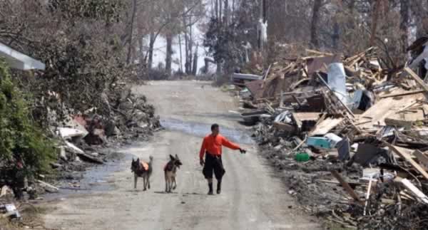 Huracanes tornados destrozos fotos imagenes fenomenos climaticos rayos truenos tormentas ojos investigaciones destrucciones argentina estados unidos mexico temporales www.wetherchannel.com pronosticos John Travolta,Nicholas Cage,Contracara,cirugias esteticas,rostro,lipoaspiraciones,medicina,cirujanos,operaciones,Maria Reich,Nazca,lineas,calendario astronomico,Peru,dibujos,astronomia,geometria,Bernd Teichert,mapas,Ana Mar&iacute;a Cogorno,ovnis,misterios,Cristobal Colon,Hernando,Diego,catedral Sevillana,Cartuja Pickman,Jos&eacute; Antonio Lorente,Granada,ADN;restos,Marcial Castro,antropologia,Republica Dominicana,www.egipto.com,Egipto,Keops,piramides,descubrimientos,Aton,Ankh,tumbas,sarcofacos,momias,embalsamamientos,Kefren,camaras secretas,Nefertiti,Amenofis,Nilo,inundaciones,Blade Runner,Ridley Scott, Richard Dawkins,Steven Pinker,Harrison Ford,Stephen Minger,Stanley Kubrick,Daryl Hanna,replicantes,androides,ciencia ficcion,Contactos,SHGb02+14a,proyecto SETI,Search for Extra Terrestial Intelligence,SETI@home,Robert Zemeckis,Jodie Foster,Dan Wertheimer,New Scientist,Arecibo,Puerto Rico,civilizaciones extraterrestres,Ma libert&eacute; de penser,Florent Pagny,Argentina,France,Patagonia,Argentine,Azucena Caama&ntilde;o,Savoir aimer,artistes,musique,musica,CD,cantores,ventas,compras,ranking,Paparazzi,Isabel Sartorius,Borbon,Ortiz Pati&ntilde;o,Vallejo Najera,Entrecanales,Mora Figueroa,Antonio Montero,Sainz Vicu&ntilde;a,Espa&ntilde;a,jet set,Mallorca,Ibiza,John Fitzgerald Kennedy,Lee Harvey Oswald,Vitaliy Fadeyev,Lawrence Berkeley,Carl Haber,Fidel Castro,Lyndon B. Johnson,Jackie,Onassis,Irma Roy,Carolina Papaleo,Osvaldo,diputada nacional,Congreso,Argentina,Raul Granillo Ocampo,politica,justicialismo,peronismo,cine,television,La Horqueta,San Isidro,que se vayan todos,diciembre 2001,2002,2003,2004,maria julia alsogaray,alvaros,,Roberto Mart&iacute;nez Medina,Maria Julia Alsogaray,Ra&uacute;l Granillo Ocampo,Jorge Rodr&iacute;guez,V&iacute;ctor Alderete,Claudia Bello,Angel Massa,Alfredo Yabran,Mario Pontaquarto,Nestor Carlos Kirchner,Cristina Elizabeth Fernandez,corrupcion,senado,general rodriguez,anibal,fernandez,alberto,fernando de la rua,ines pertine,eduardo duhalde,hilda chiche gonzalez,2000,2001,2002,2003,2004,Museos,www.louvre.fr,Leonardo Da Vinci,Gioconda,Mona Lisa,Italia,Francia,France,inventos,Italy,renacimiento,historia,cuadros,links,images,postcards,photos,fotos,imagenes,postales,pictures,historia,arqueologia,descubrimientos,culturales,agenda,infodiario,diario accion,buenos aires,argentina,Diario Accion de General Rodriguez, politica, actualidad, noticias e informacion, personalidades e instituciones, policiales, galerias de fotos; historia de General Rodriguez, sus origenes, edificios, estancias, habitos y costumbres, anecdotas, comercios e industrias, los fundadores, antiguas instituciones, fotos e imagenes; suplementos especiales: la crisis politica, economica y social de la Argentina, los acontecimientos de Diciembre de 2001, articulos y entrevistas; Emigracion: toda la informacion destinada a aquellos que desean emigrar, radicarse o estudiar en el exterior, visas, pasaportes, consejos, guias, informacion util, links; Trueque: novedades e informacion, links, estructura del trueque; el casamiento de Maxima Zorreguieta y el principe Guillermo Alejandro de Holanda; Guerra de Afganistan: galeria de imagenes e informacion sobre la primera guerra del siglo XXI; la guerra de Irak, Bagdad, Georges W. Bush, Saddam Husseim, el atentado a las torres Gemelas de Nueva York, las twin towers, el 11-s, y descripcion del hecho que conmovio al mundo; Empleo: consultoras, clasificados, agencias de empleo, consejos e informacion util, curriculum vitae, como confeccionarlos, noticias de actualidad; 
Los numeros de la crisis: Las consecuencias de la crisis politica, economica y social; estadisticas, pobreza, desnutricion, salud y asistencia; noticias regionales y provinciales, columnas y editoriales; informacion para negocios: pymes, links, empresas y negocios; Agenda Cultural con toda la informacion de cursos, universidades, talleres, escuelas y oportunidades, exposiciones de arte de la region; buscadores en Internet, Enlaces: links a los mejores sitios de educacion, cultura, arte, biografias, politica, interes general, web, Links del Diario Accion: RMS Titanic, su historia, su tragico viaje inaugural; historias, testimonios, documentos y articulos sobre el naufragio; links y sitios sobre el tema; la pelicula de Cameron, fotos e imagenes; suplementos especiales, Historia Argentina y de General Rodriguez, la llegada de la democracia en General Rodriguez, la asuncion de Juan Lumbreras como intendente en 1983, galeria de imagenes, sus palabras y los actos, su gabinete, festejos de la comunidad. Fundacion del pueblo de General Rodriguez, sus instituciones y personalidades relevantes, arquitectura y edificios, comercios e industrias, sus comienzos, estancias, inmigraciones italianas, espa&ntilde;olas, vascas e irlandesas, anecdotas y efemerides, sus hombres ilustres, el Hospital Vicente Lopez y Planes, su fundacion por las Damas de Beneficencia, el hundimiento del crucero General Belgrano, testimonios de ex combatientes y tripulantes, su comandante Hector Elias Bonzo, fotos e imagenes, recuerdos y homenajes, historia de la familia Bonzo de General Rodriguez, entrevistas y articulos periodisticos. La guerra de Malvinas en el Atlantico Sur, el conflicto belico con Gran Breta&ntilde;a de 1982, politicos relevantes, Benjamin Paez y Trueba, fotos antiguas de familias fundadoras, galerias de imagenes de pobladores, recorrida virtual por el antiguo General Rodriguez, el paso de la Infanta en 1910, historia de La Serenisima, la familia Mastellone, La Choza, Bernardo de Irigoyen, peronismo y radicalismo y muchisimo mas