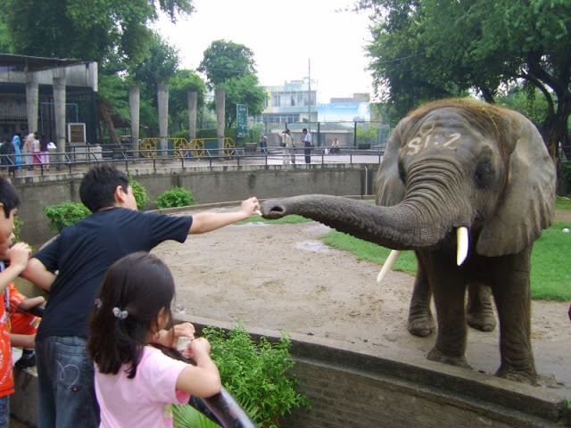 http://3.bp.blogspot.com/-nGj06buPRAc/VlCV9TNs98I/AAAAAAAARkI/zr4asNS5-Qs/s640/lahore%2Bzoo.jpg