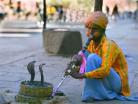 picture of snake charmer