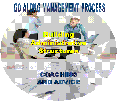 We go with you in the design and implementation of business strategies and administrative structures