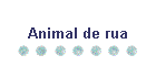 Animal de rua