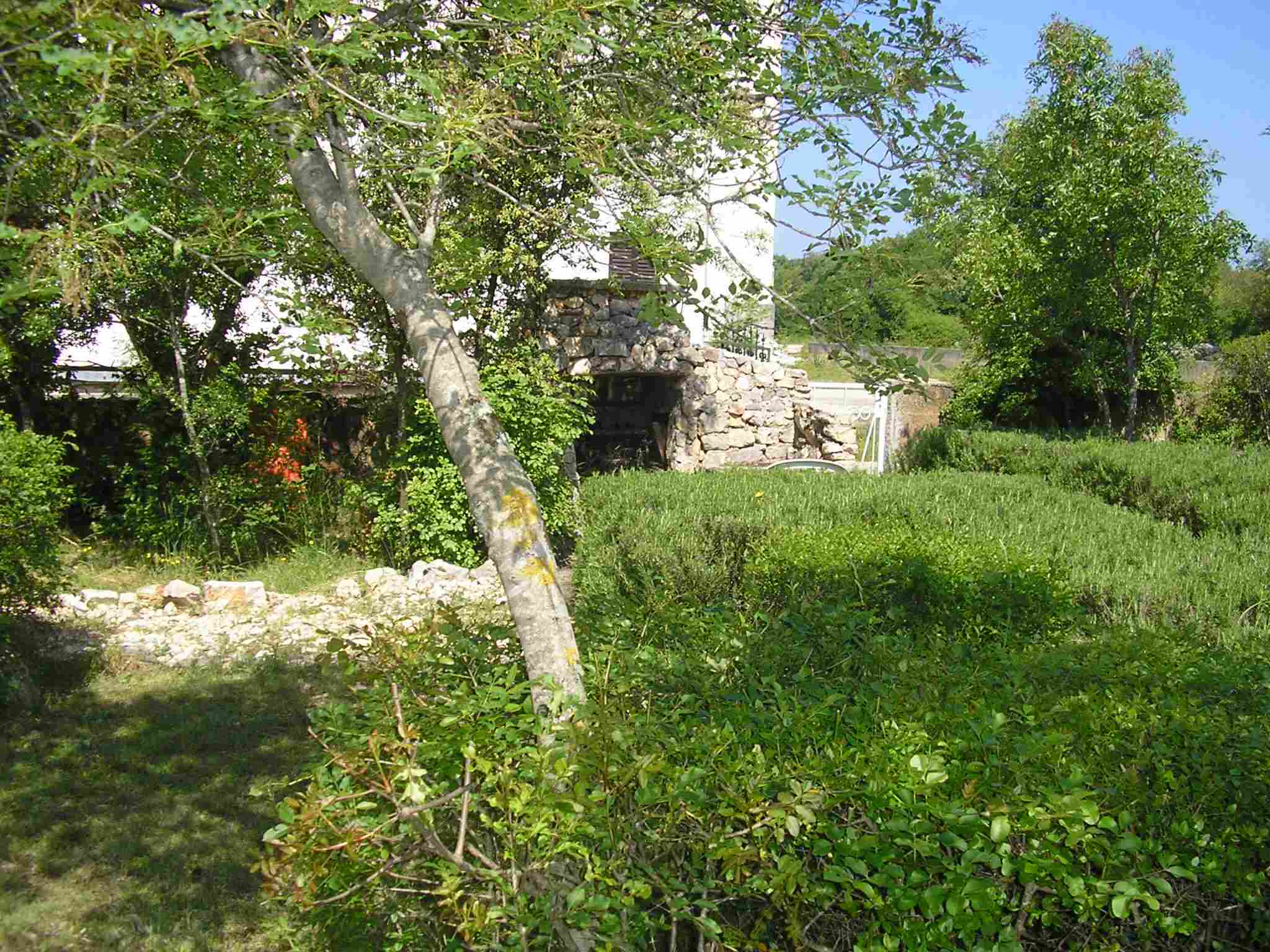 ognji&scaron;će