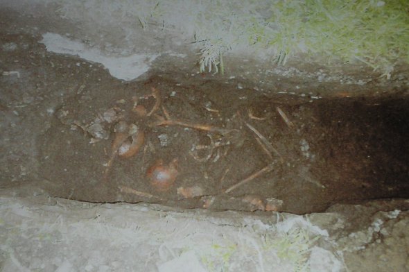 Curtea Domneasca - Oseminte descoperite in 2002