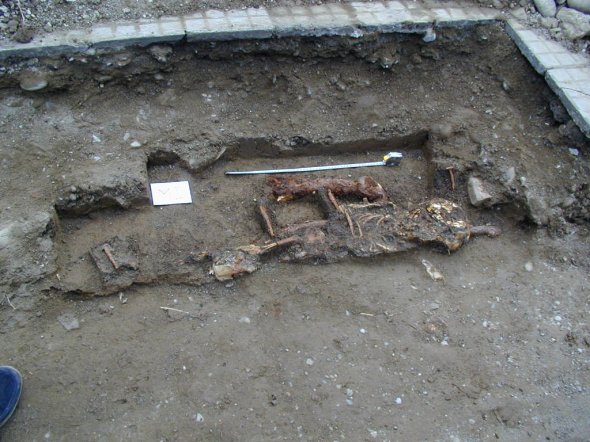 Curtea Domneasca - Oseminte descoperite in 2005