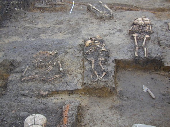 Curtea Domneasca - Oseminte descoperite in 2005