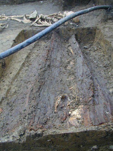 Curtea Domneasca - Oseminte descoperite in 2005