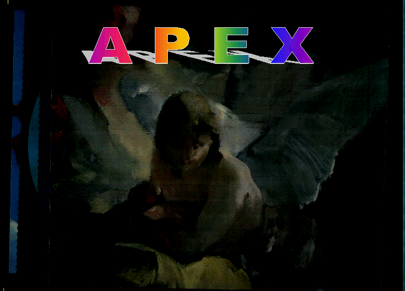 copertina.jpg (35719 byte)