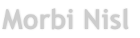 Morbi Nisl