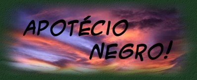 BEM VINDO!