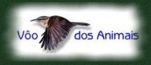 Conhe&ccedil;a os variados tipos de v&ocirc;os