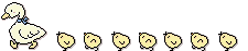 nyan