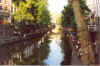 foto8.jpg (330226 byte)
