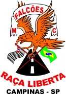 falcoesmc2.jpg (16890 bytes)