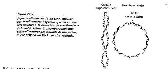 2 UAH BOTANICA BIO 2 uah botanica bio: