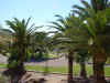 jardin1.jpg (62238 bytes)