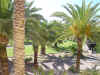jardin2.jpg (61015 bytes)