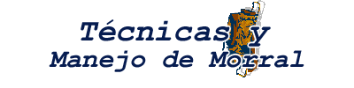 Manejo de Morral
