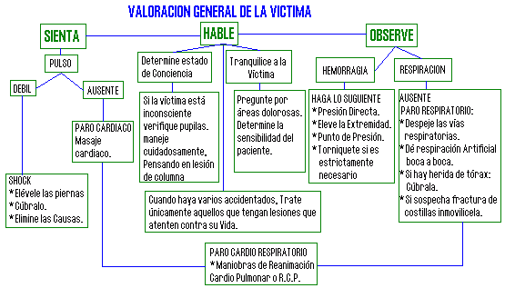 valoraci�n General de la Victima