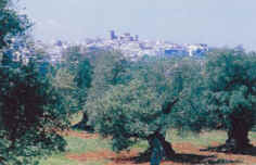 Ceglie Messapica