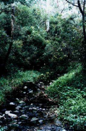 andersons_creek