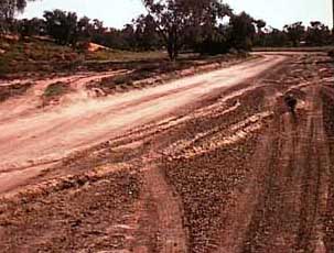 Road to Cameron's Corner