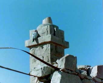 Galah nesting in Ruins