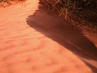 sand dune