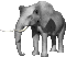 elefante