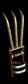 claws.gif (869 bytes)