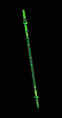 serpentlord.gif (1448 bytes)