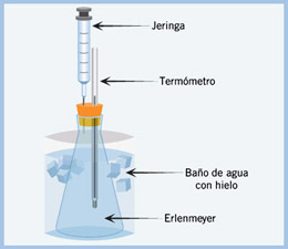 Estructura verbal-visual equilibrada