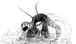 La Metamorfosis