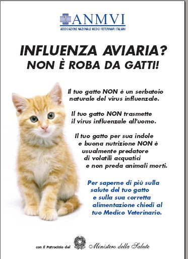Influenza aviaria: non � roba per gatti