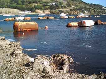 foto mola2