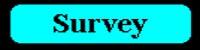 survey