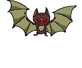 Bats