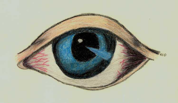 Up-close shot of a blue eye