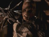 Spawn