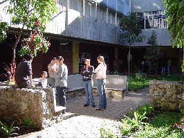 Jardines del edificio M4