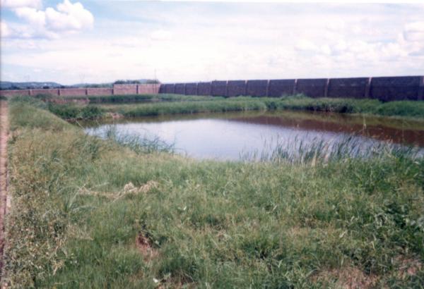 Treatment/Effluent pond at the Bata Tannery factory in Kafue
